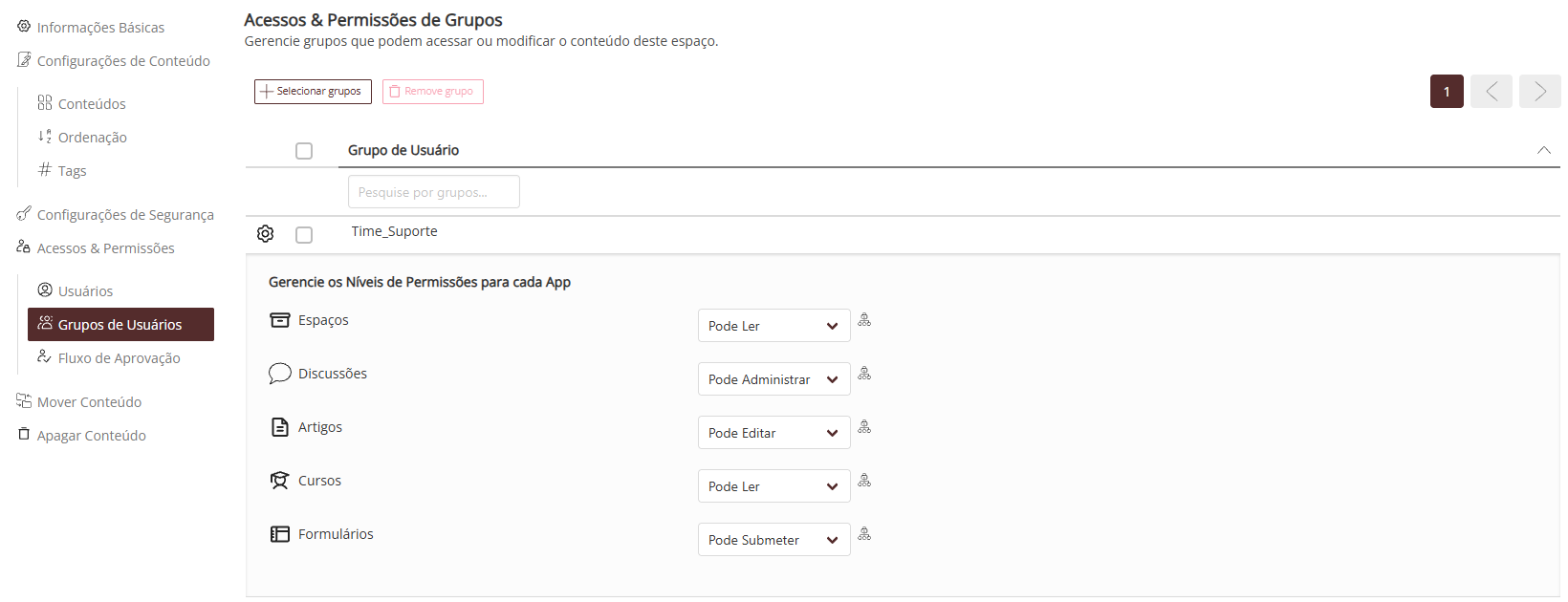 Grupos de Usuários do Espaço com o painel de níveis de permissão de um grupo aberto