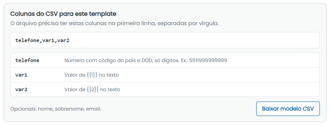 Quadro Colunas do CSV para este template com o botão Baixar modelo CSV