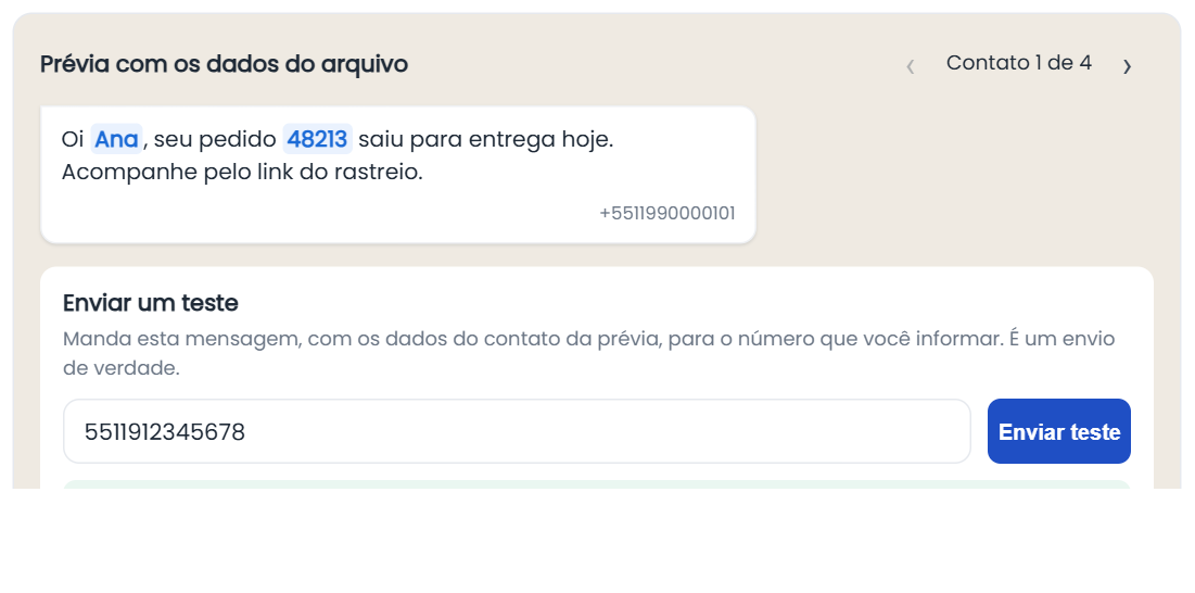 Prévia com os dados do arquivo e envio de teste