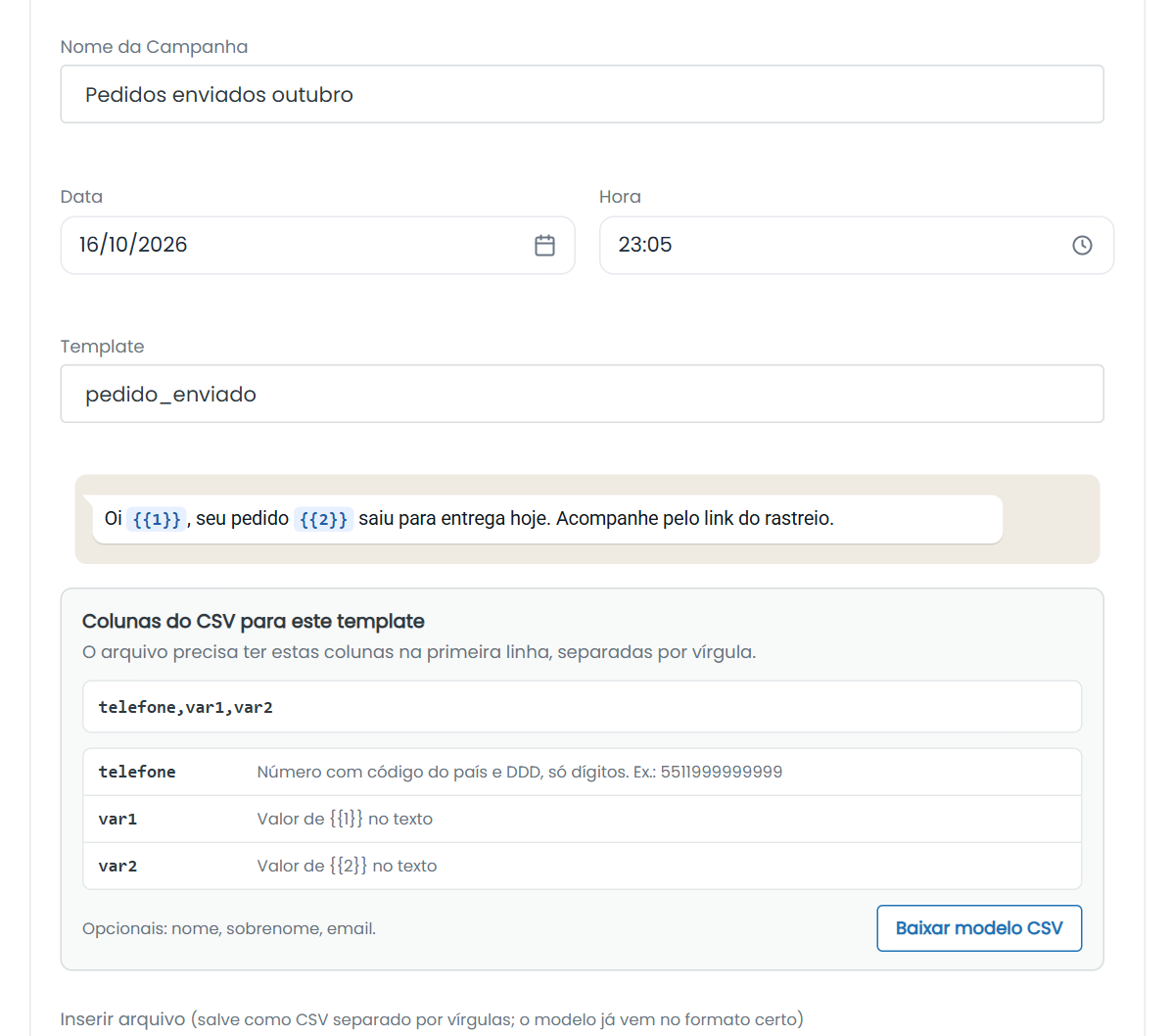 Campos da etapa Configuração com a prévia e as colunas do CSV
