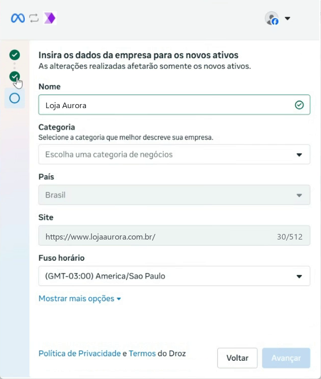 Janela da Meta: Insira os dados da empresa para os novos ativos